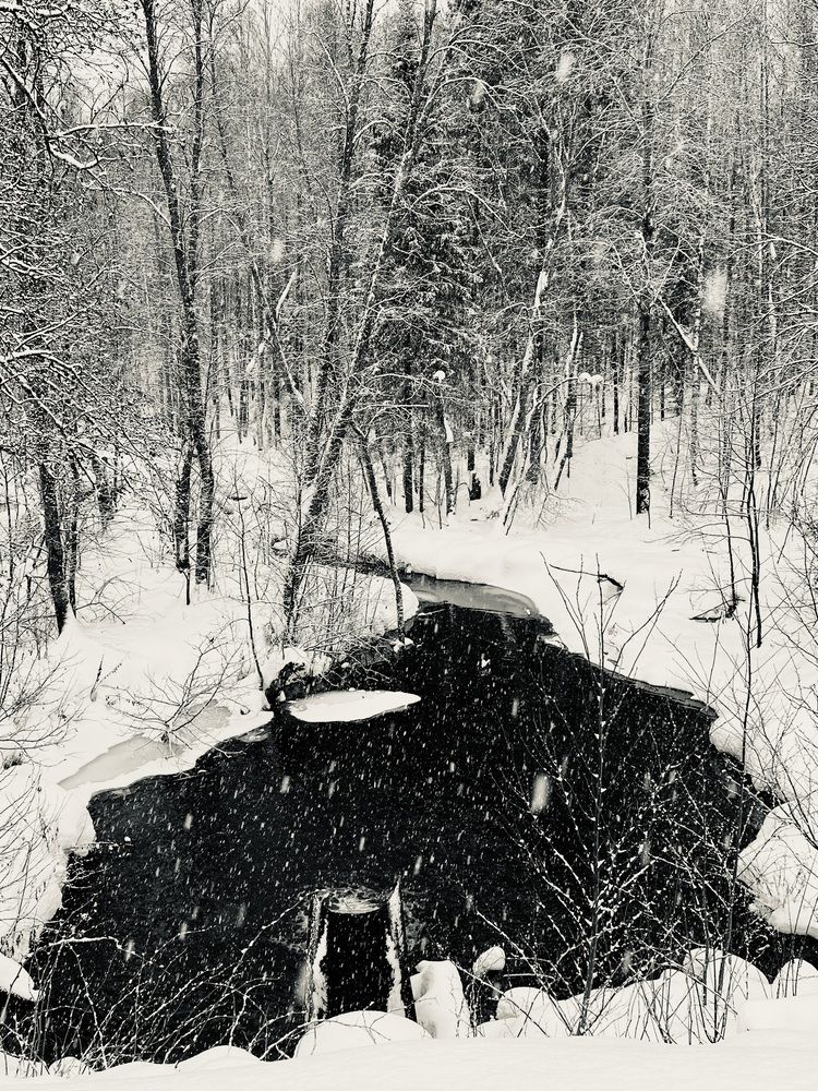 Photograph by Татьяна Михайловна