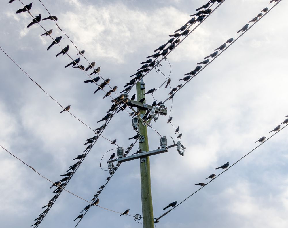 Photograph by Анатолий Костерев