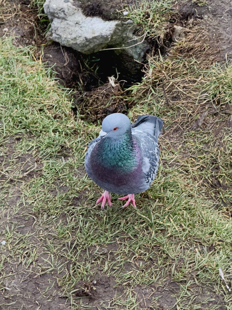 Photograph by Марина Скворцова