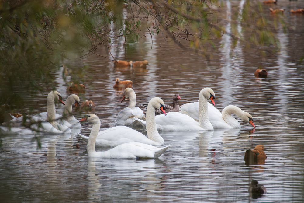 Photograph by Олеся Легостаева