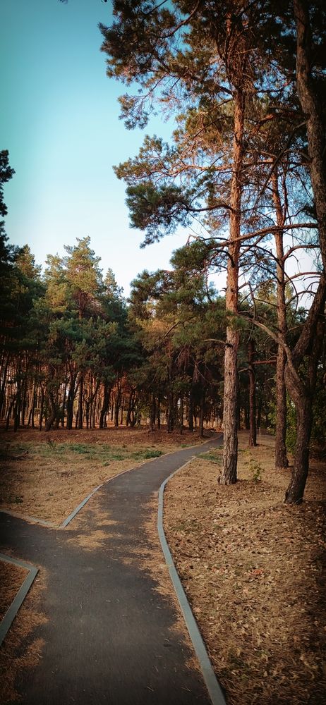 Photograph by Елизавета Карюченко