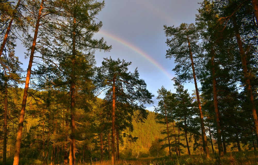 Photograph by Валентина Воробьёва