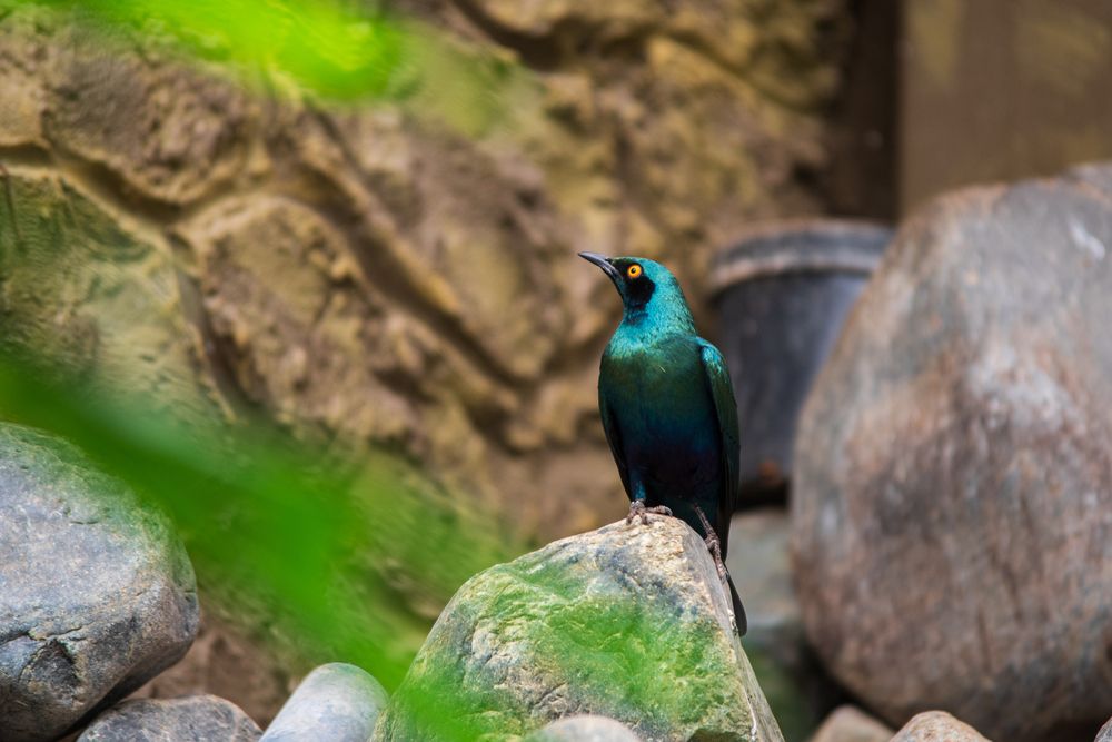 Photograph by Олеся Легостаева