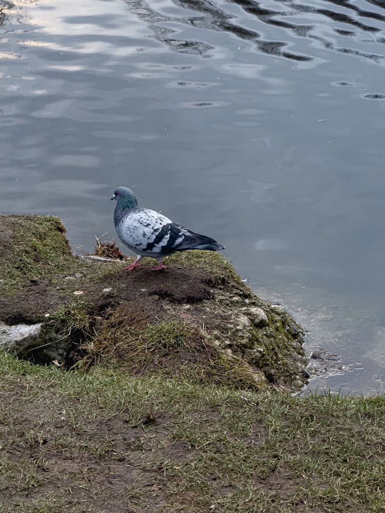 Photograph by Марина Скворцова