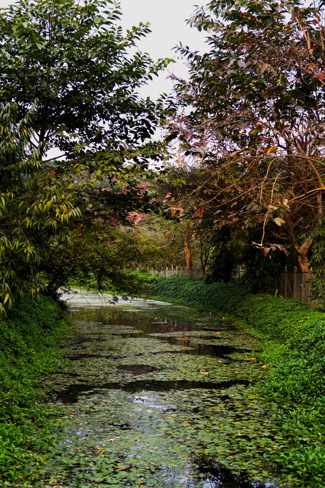 Photograph by Arindam Mullick