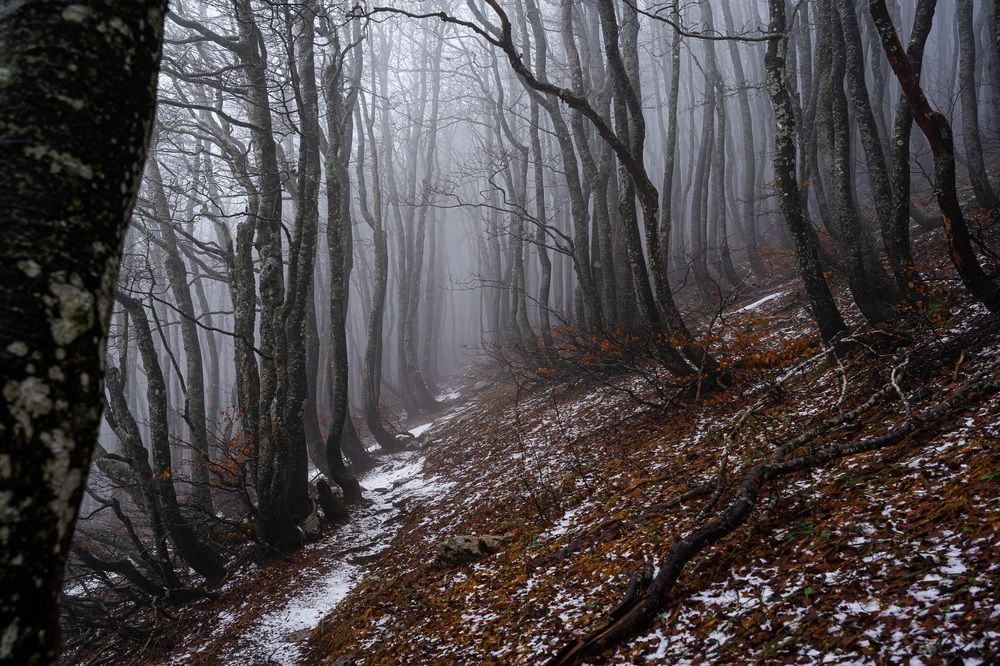 Photograph by Marija Kordić