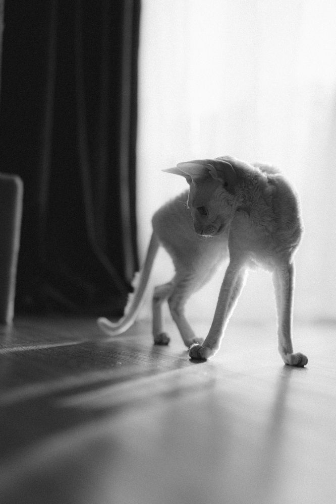 Photograph by Анна Бобкова