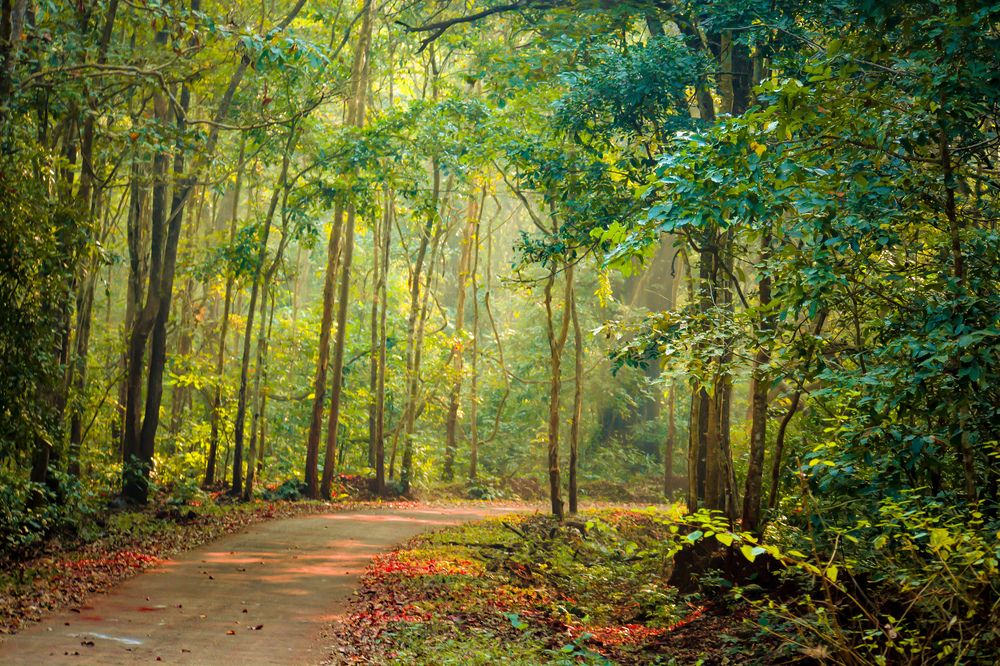 Photograph by Shrishail Chilad