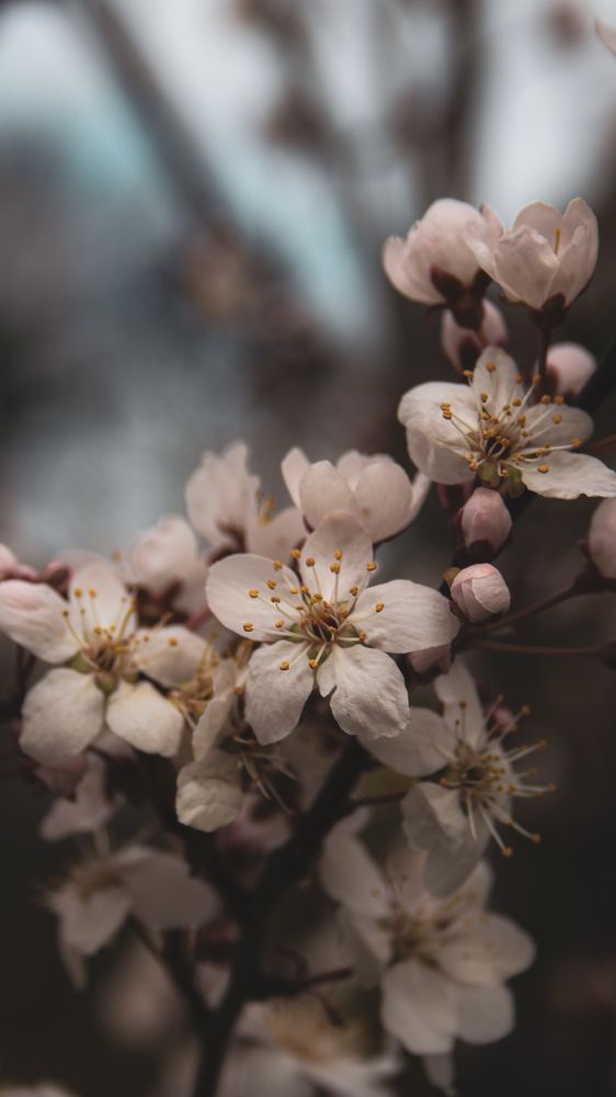 Photograph by Валерия Первенецкене