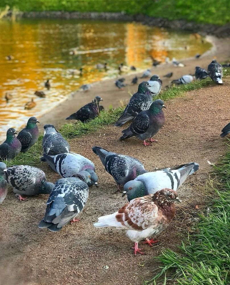 Photograph by Татьяна Волохова