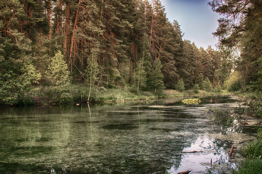 Photograph by Альфия Агзами