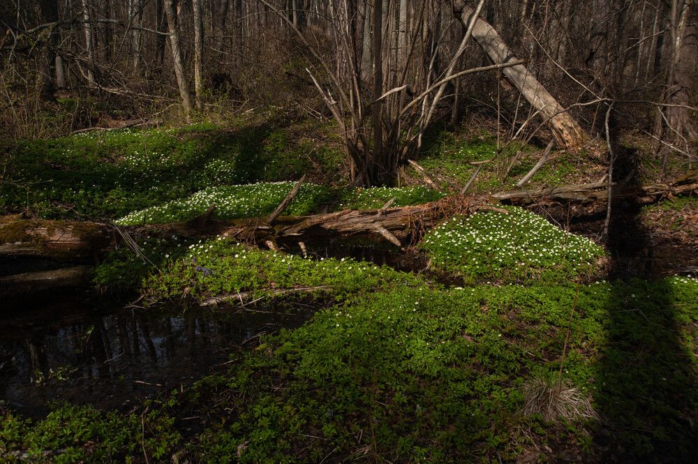 Photograph by Александр Вавулин