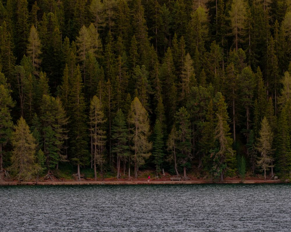 Photograph by DIMITRIOS SIONAKIDIS