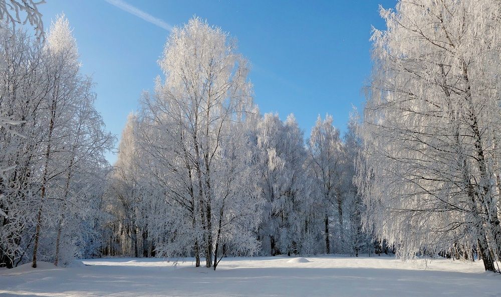 Photograph by Виктор Решетников