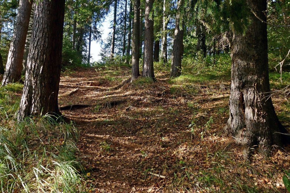 Photograph by Виктор Решетников