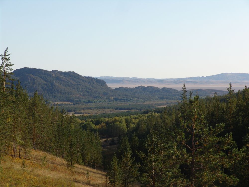 Photograph by Михаил Максимов