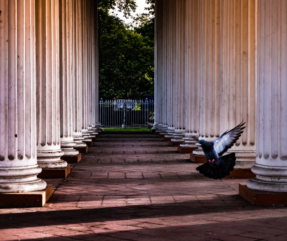 Photograph by Arindam Mullick