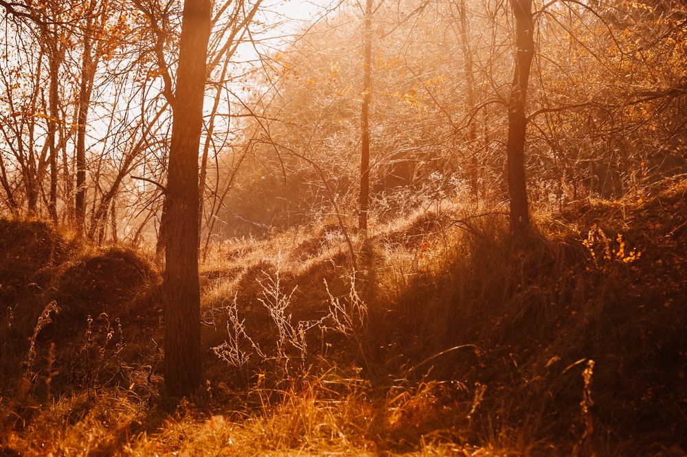 Photograph by Оксана Некрасова