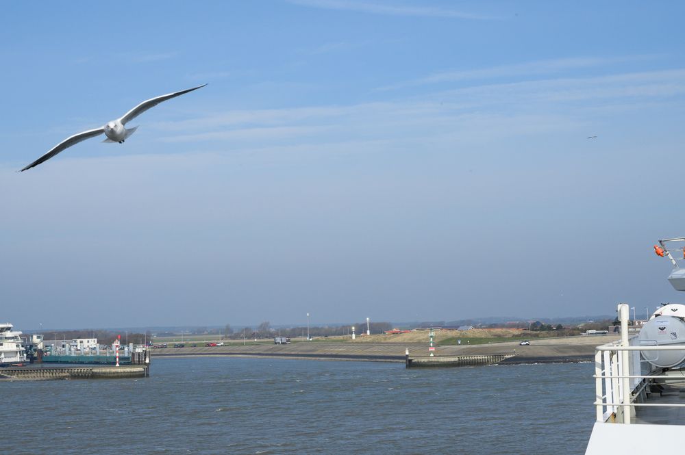 Фотография автора Вера Базилевская
