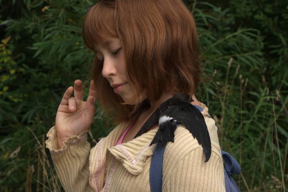 Стриж прилетел!