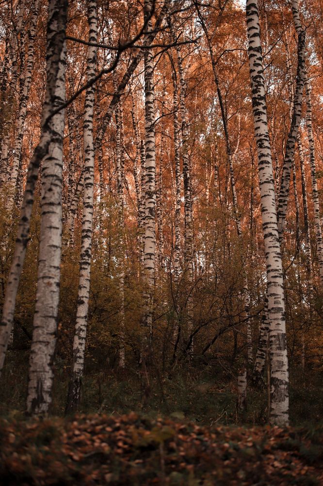 Photograph by Оксана Некрасова