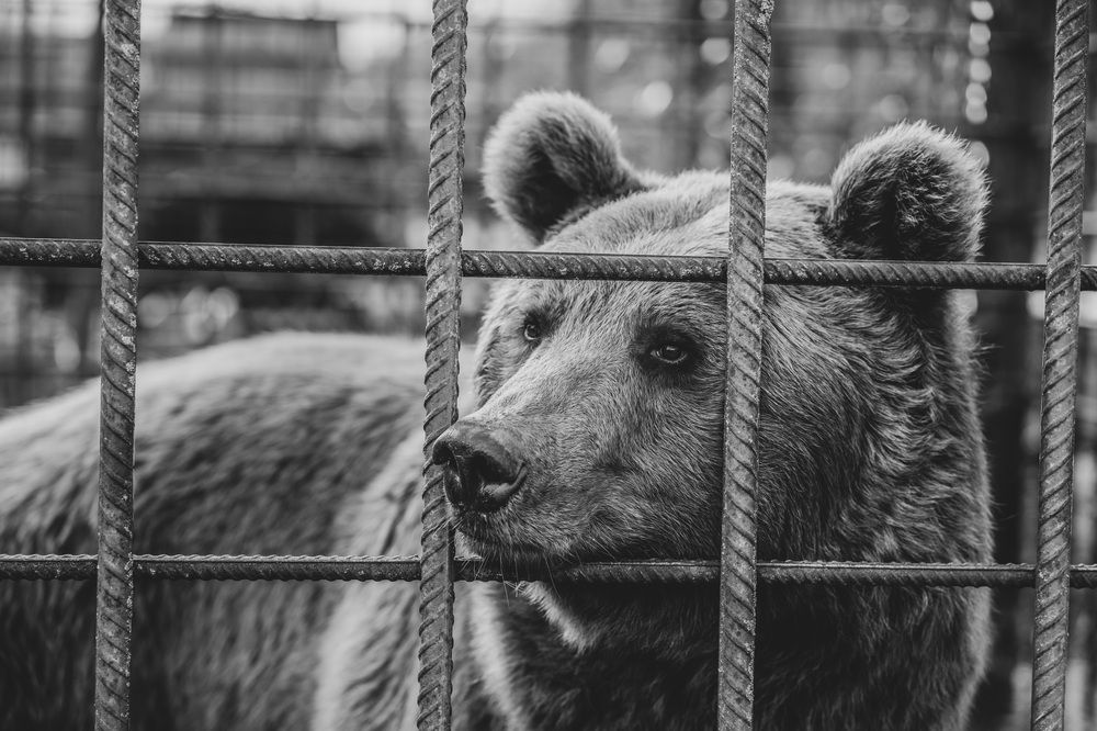 Photograph by Роман Тырышкин