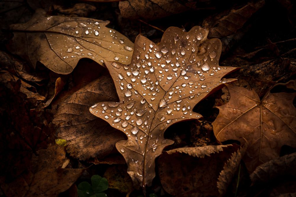 Photograph by Максимов Алексей