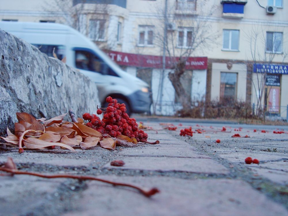 Photograph by Владимир Валерьевич Михеев