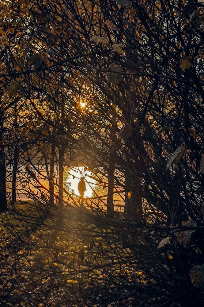 Photograph by Анна Форофонтова