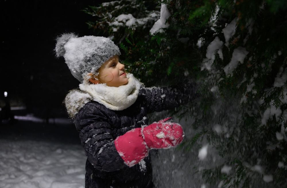 Фотография автора Вера Базилевская