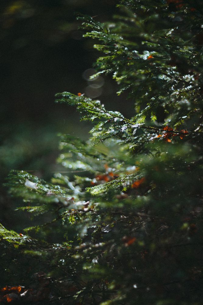 Photograph by Ирина Баёва