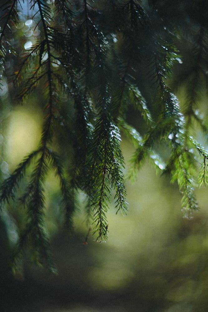 Photograph by Ирина Баёва