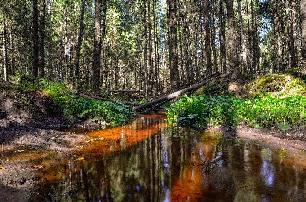 Photograph by Александр Вавулин