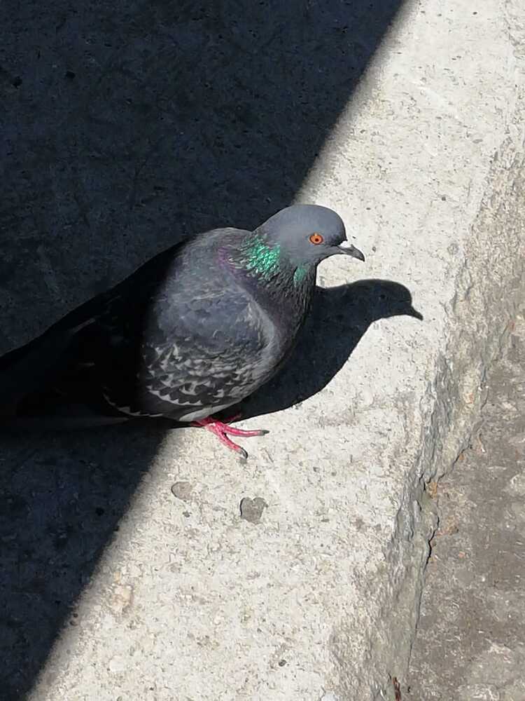 Photograph by Galina Novichkova