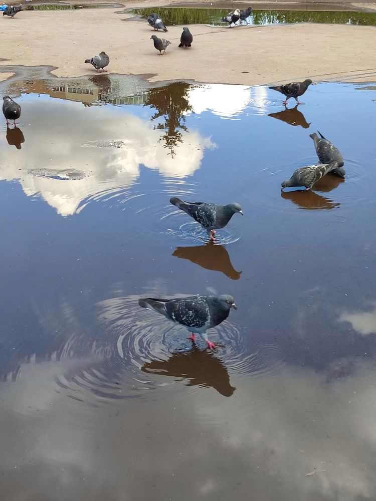 Photograph by Galina Novichkova