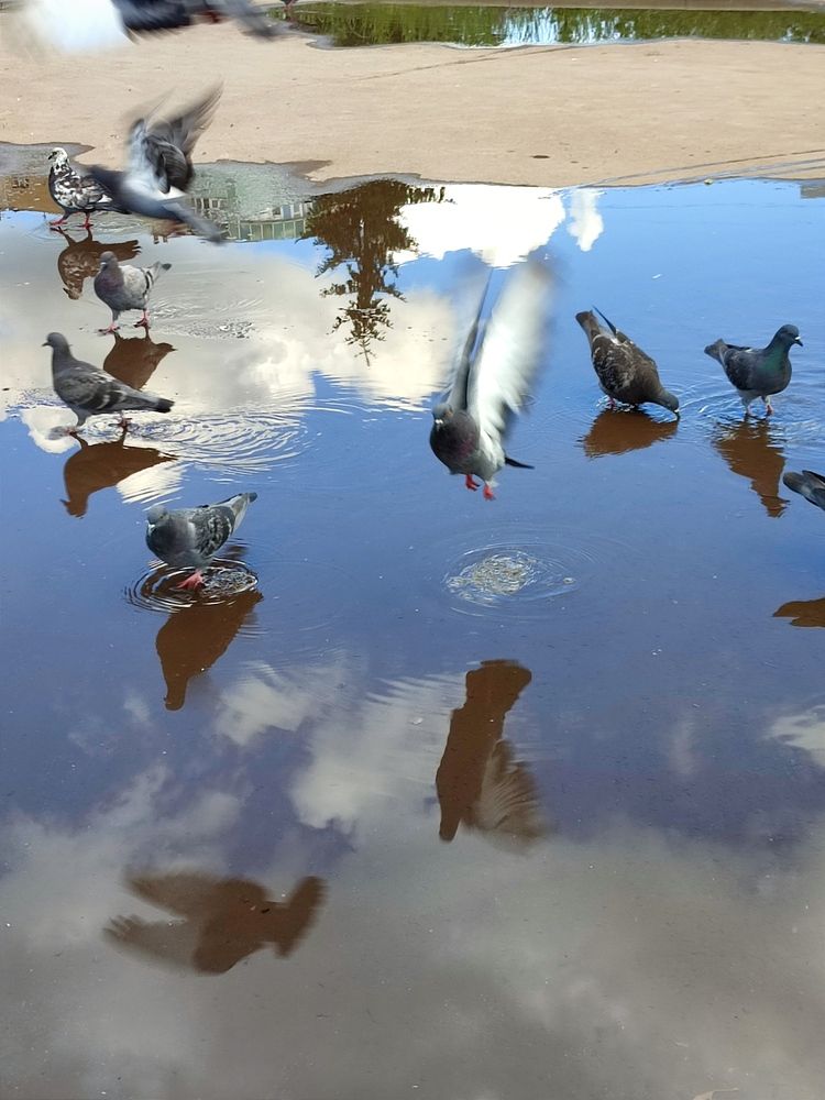 Photograph by Galina Novichkova