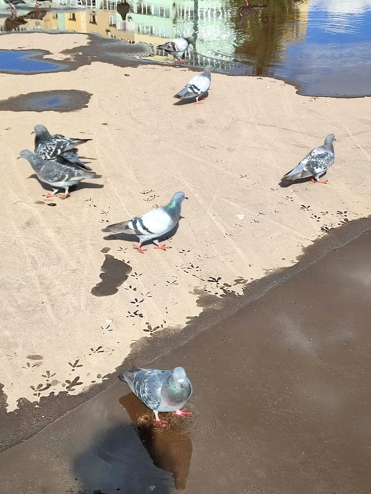 Photograph by Galina Novichkova