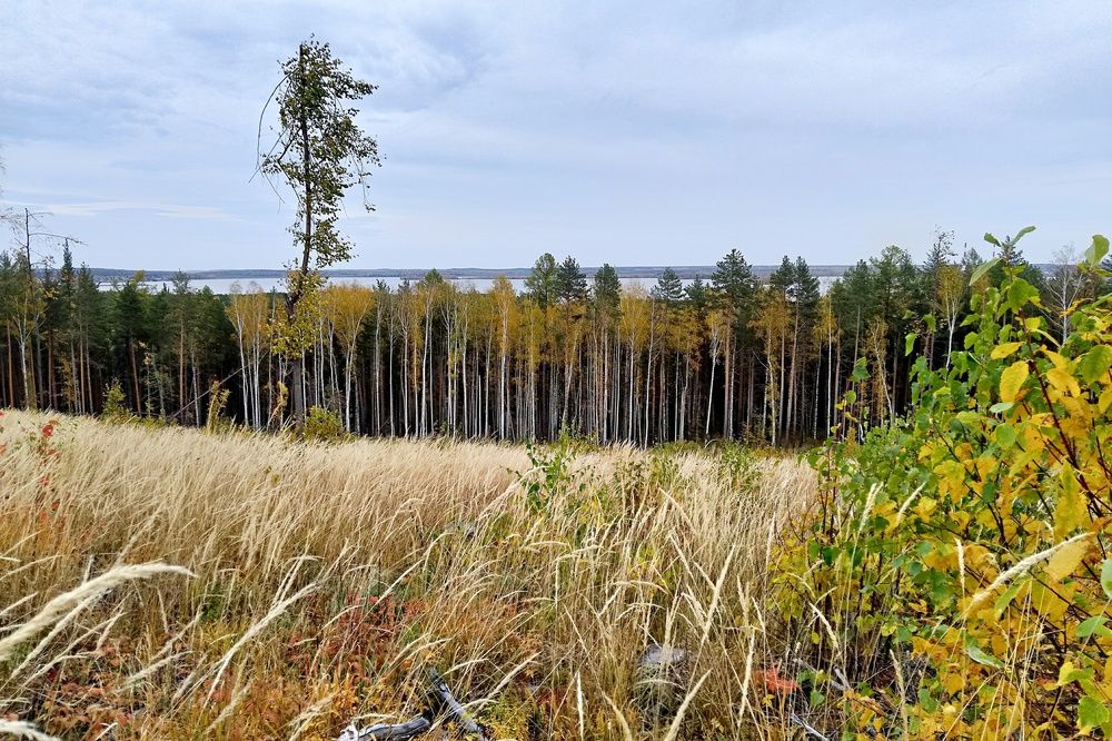 Photograph by  Валентина