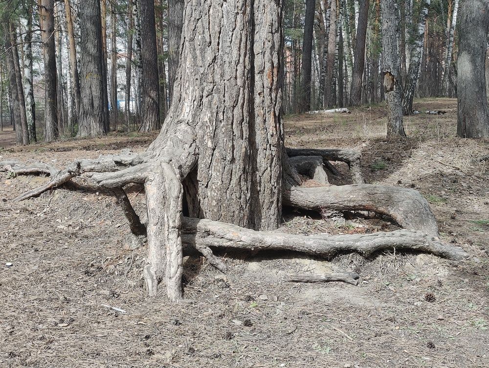 Photograph by Olena Chertous