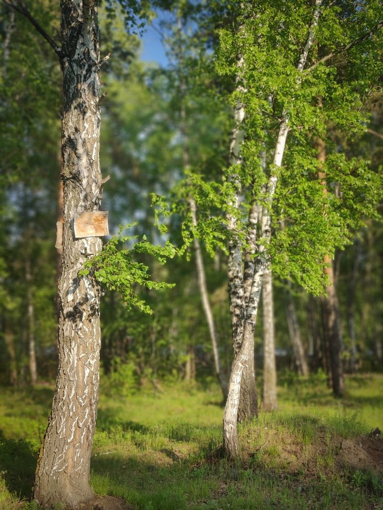 Photograph by Olena Chertous