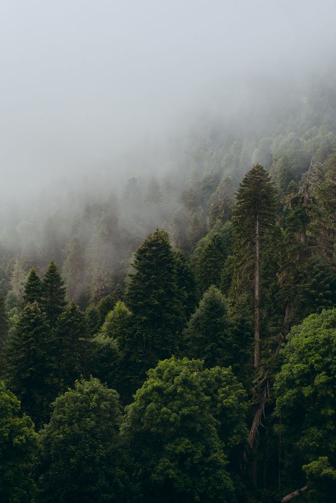 Photograph by Ирина Баёва