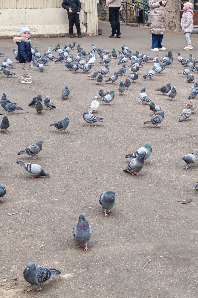 Фотография автора Van Gross