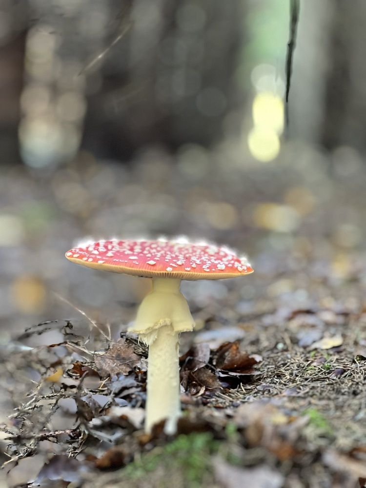 Photograph by Аделия