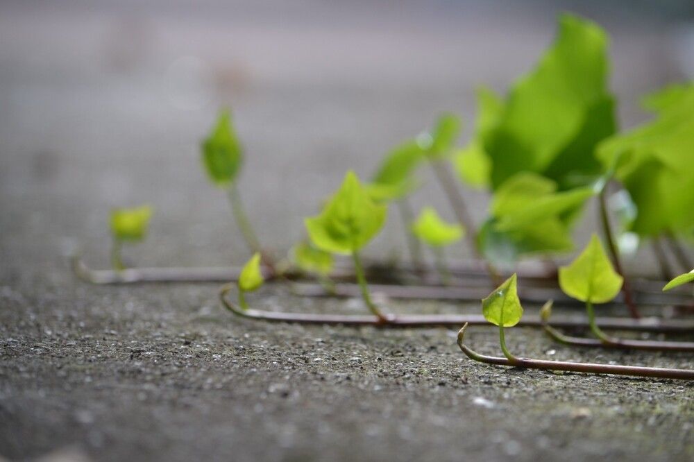 Фотография автора Jorge Martinez