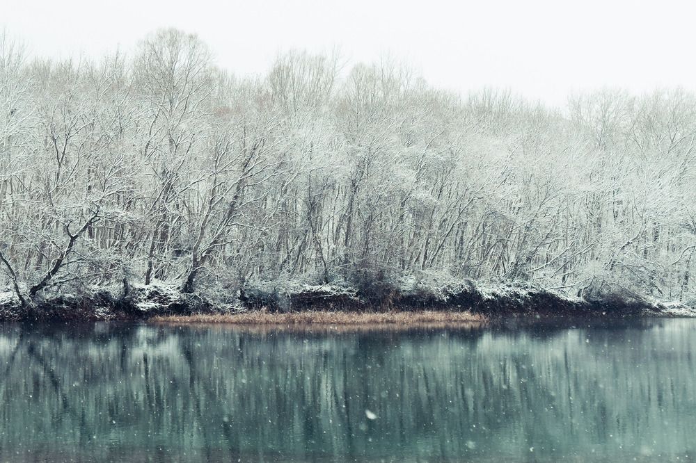 Photograph by Dimitris Vavliaras