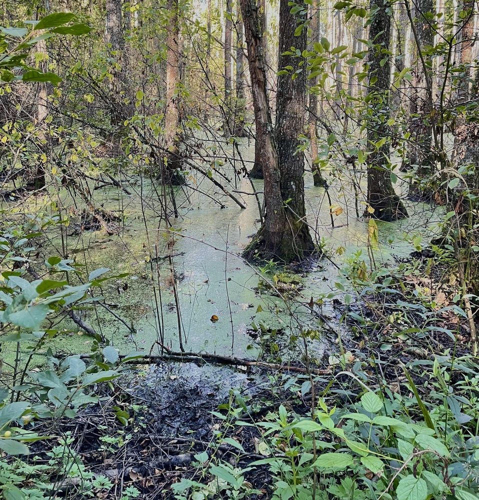 Photograph by ЛИЛИЯ БОБКО