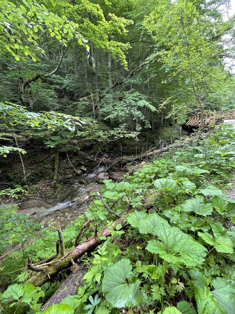 Photograph by ЛИЛИЯ БОБКО