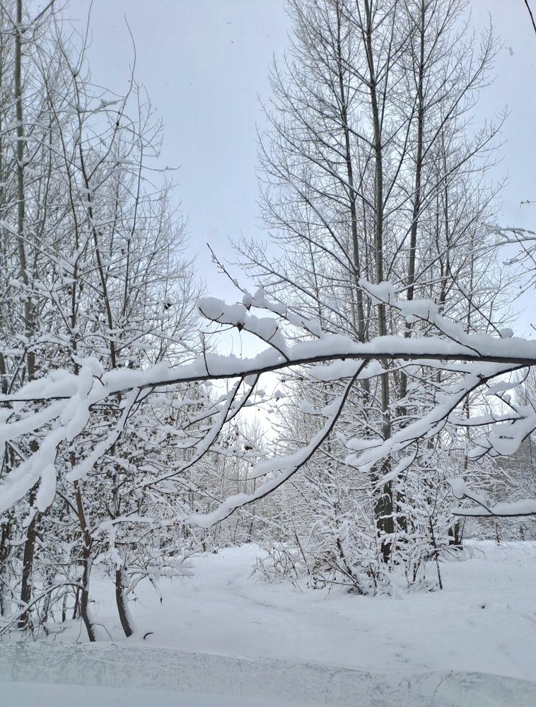 Photograph by Александра Насырова