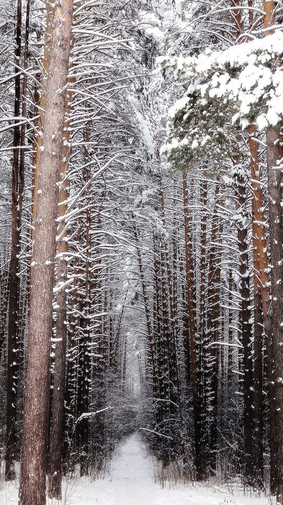 Photograph by  Валентина