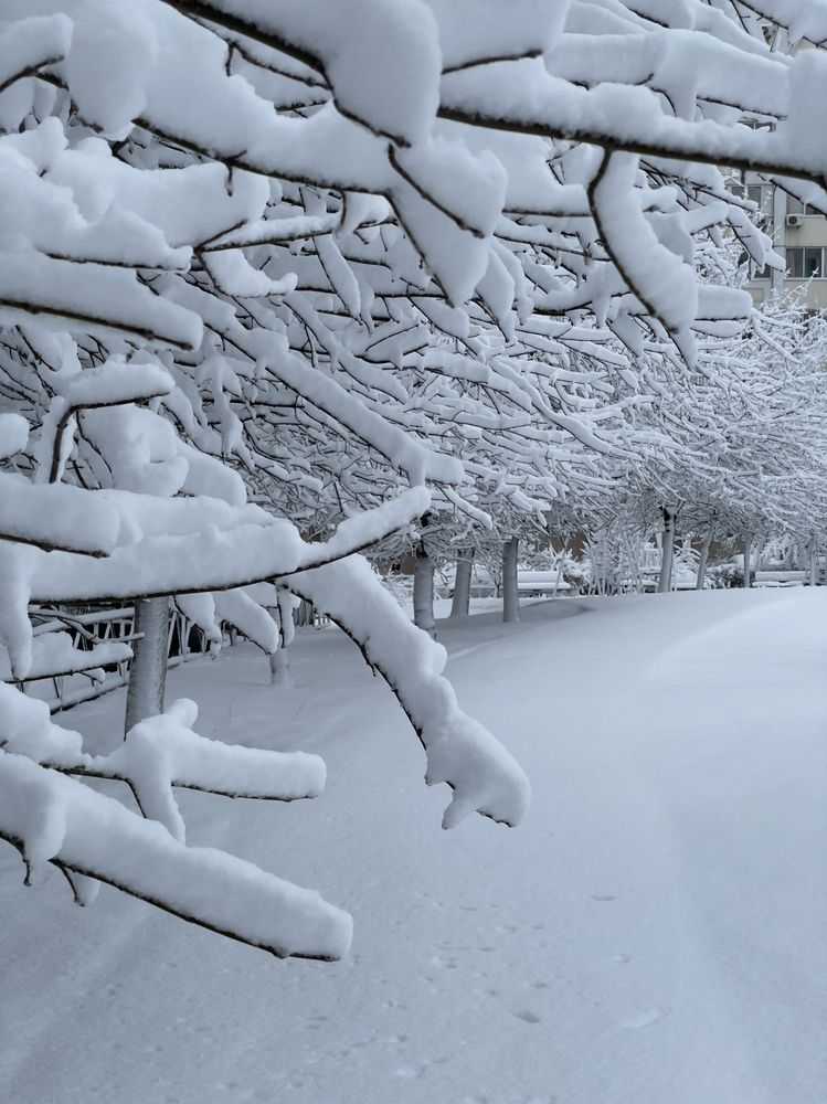 Photograph by Марина Фомичева